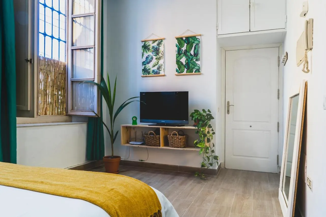 The Paradise Studio Apartment Malaga Spain