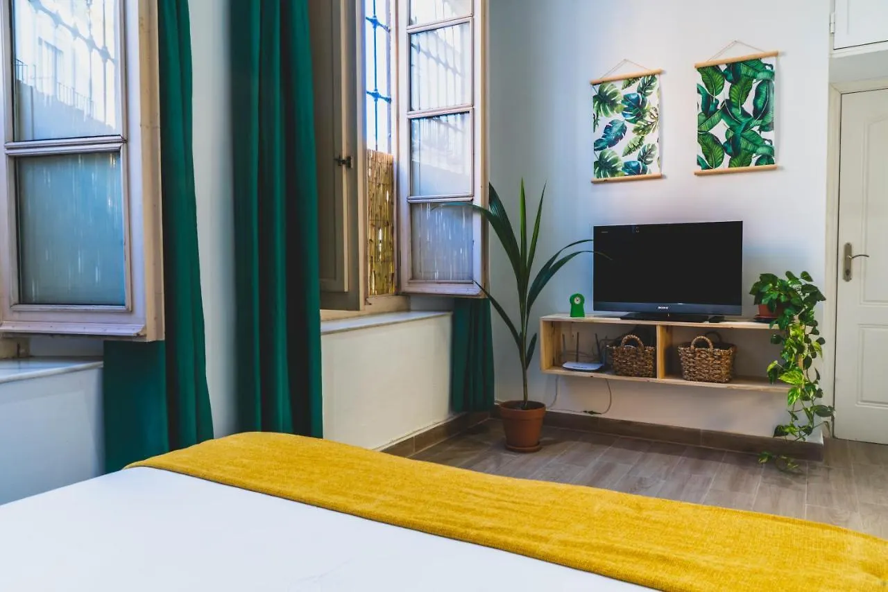 The Paradise Studio Apartment Malaga Spain